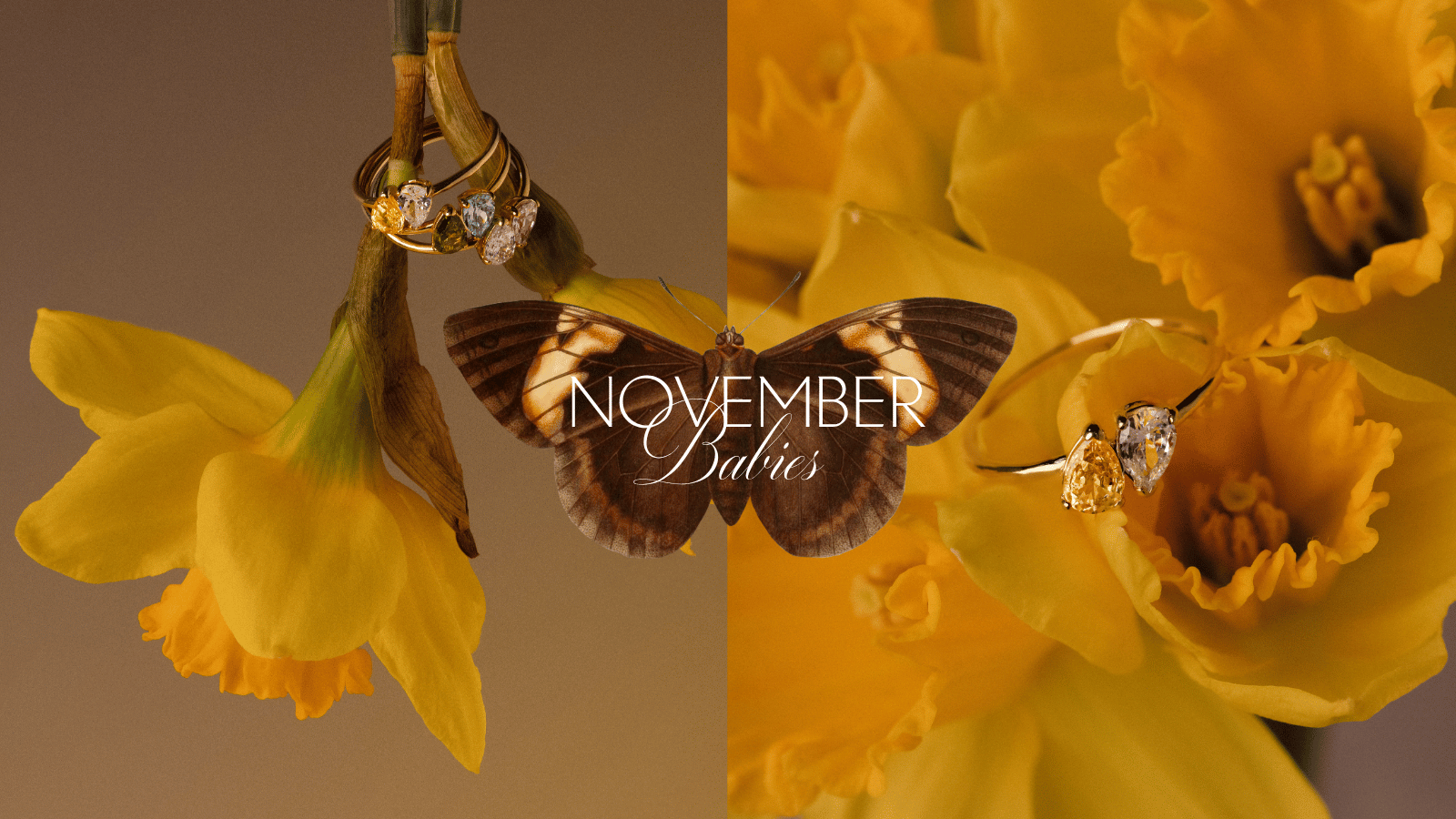 Bébés de novembre