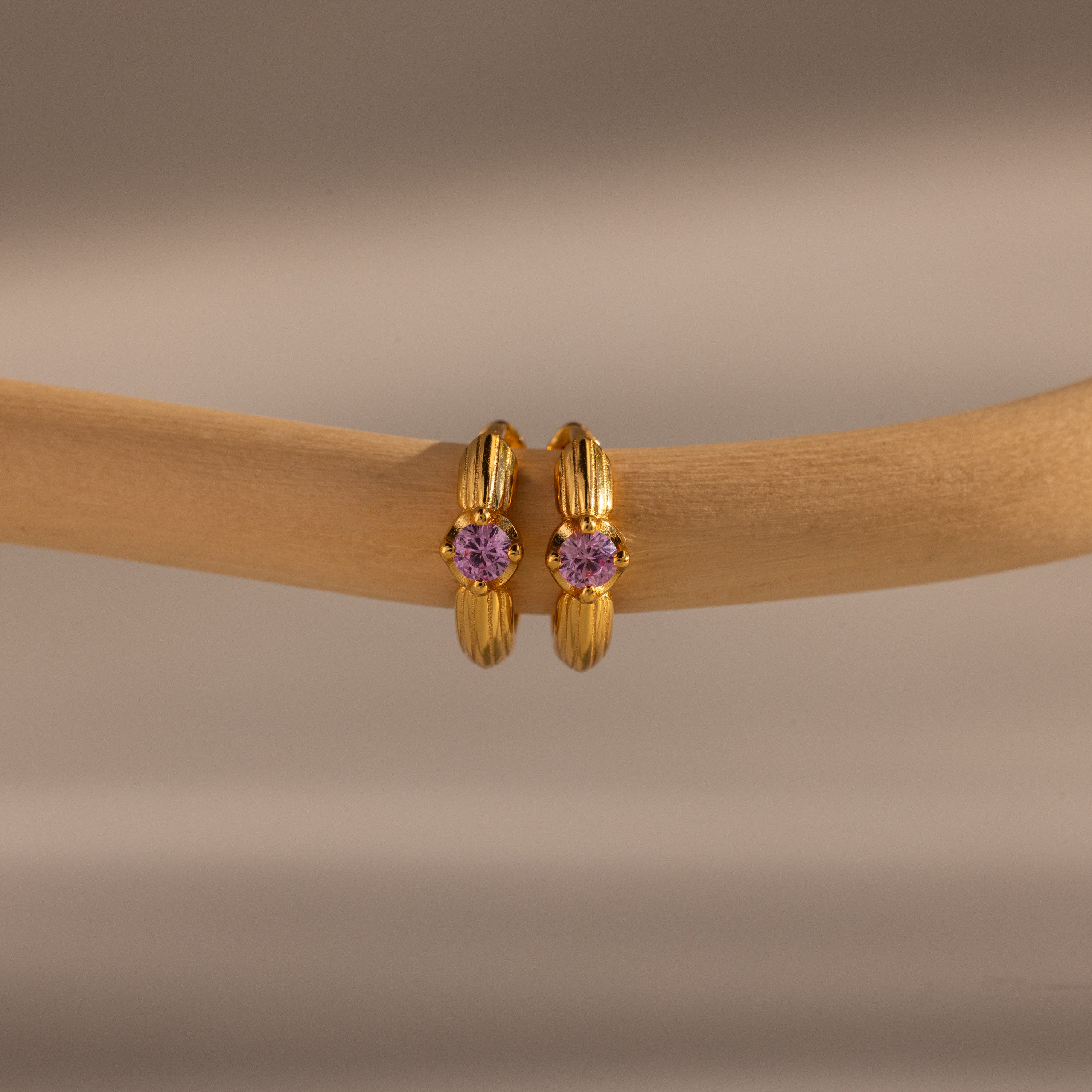 Ribbed Garnet Huggies—small gold hoops with purple garnet accents, perfect as personalized jewelry or birthstone earrings, displayed on a smooth beige branch with a neutral background.