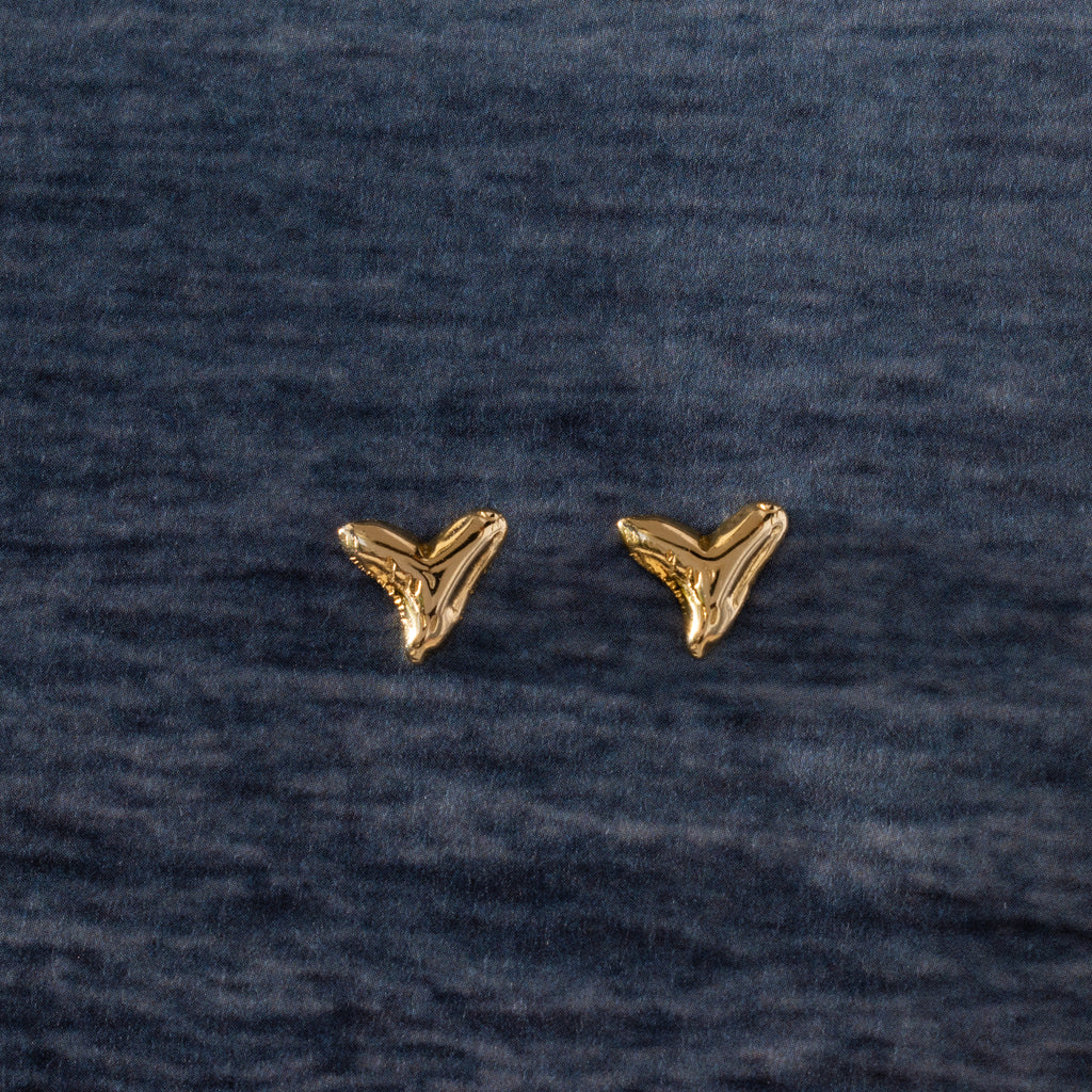 Two Shark Tooth Flatback Studs in 18K Gold rest on a dark textured fabric background—an ideal summer jewelry pick or beach-day accessory.