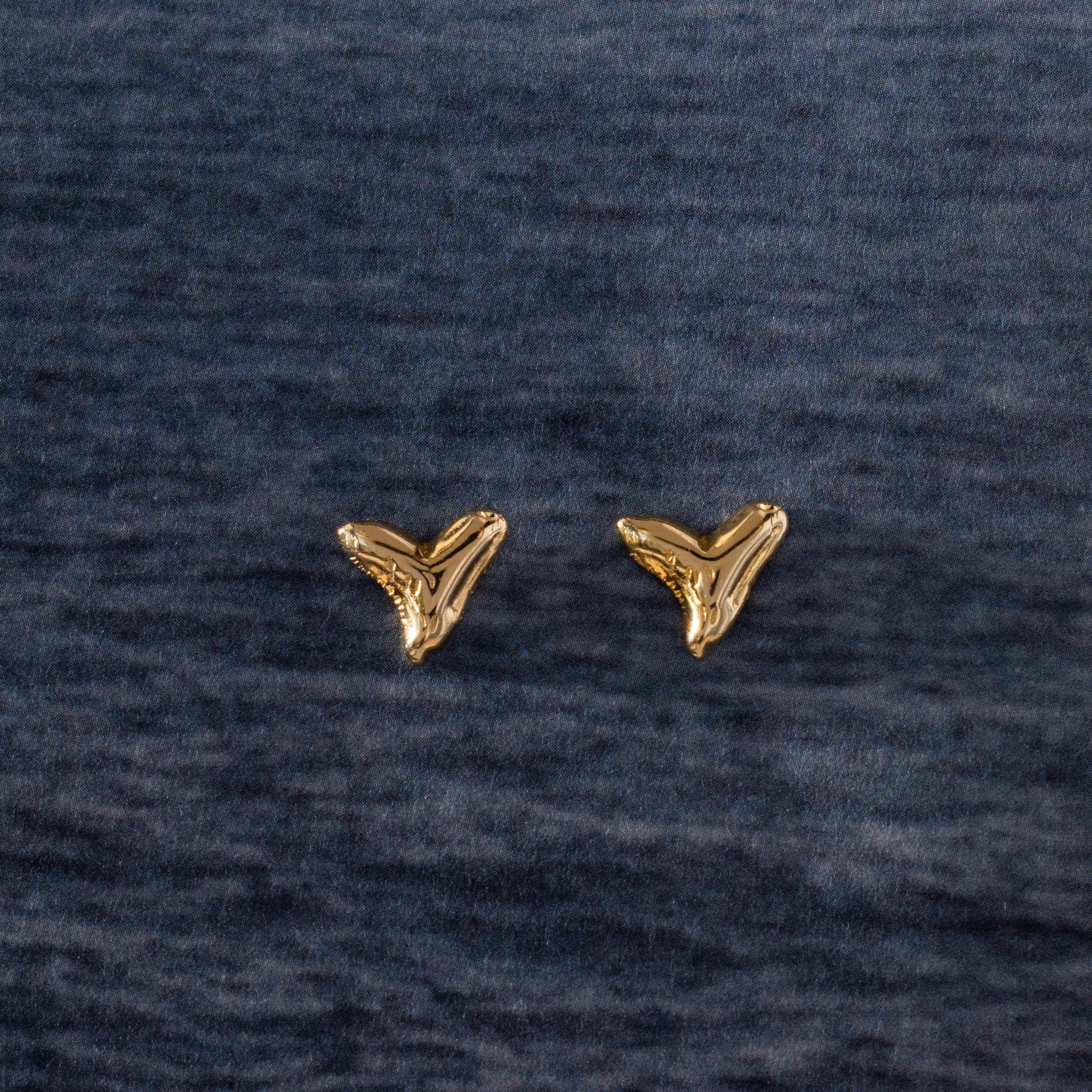 Two Shark Tooth Flatback Studs in 18K Gold rest on a dark textured fabric background—an ideal summer jewelry pick or beach-day accessory.