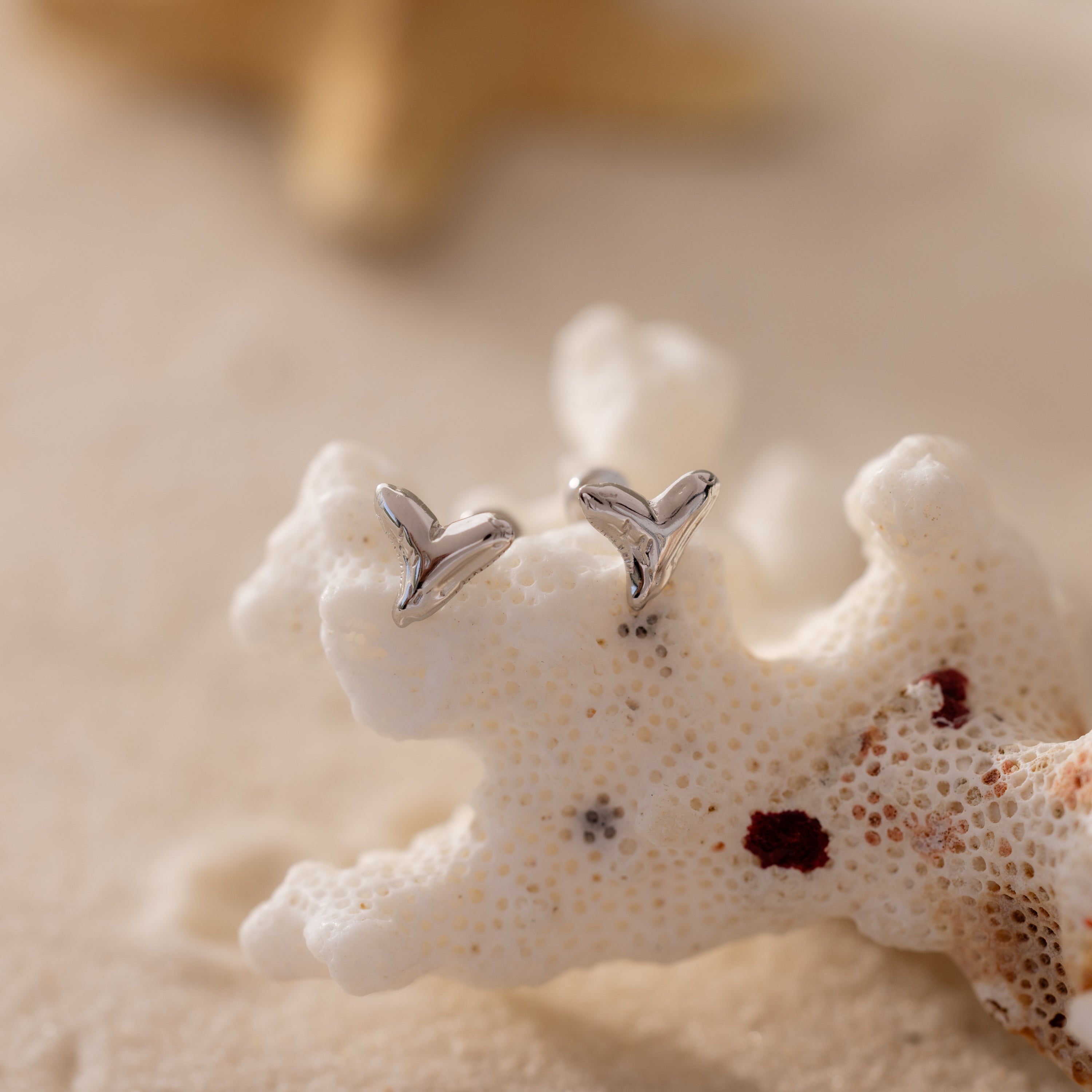 Two small silver Shark Tooth Flatback Studs rest on white coral, with sand and a starfish in the background—ideal for adding a touch of the ocean to your style.