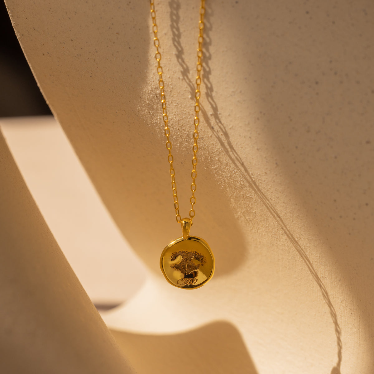 Paw Print Coin Necklace