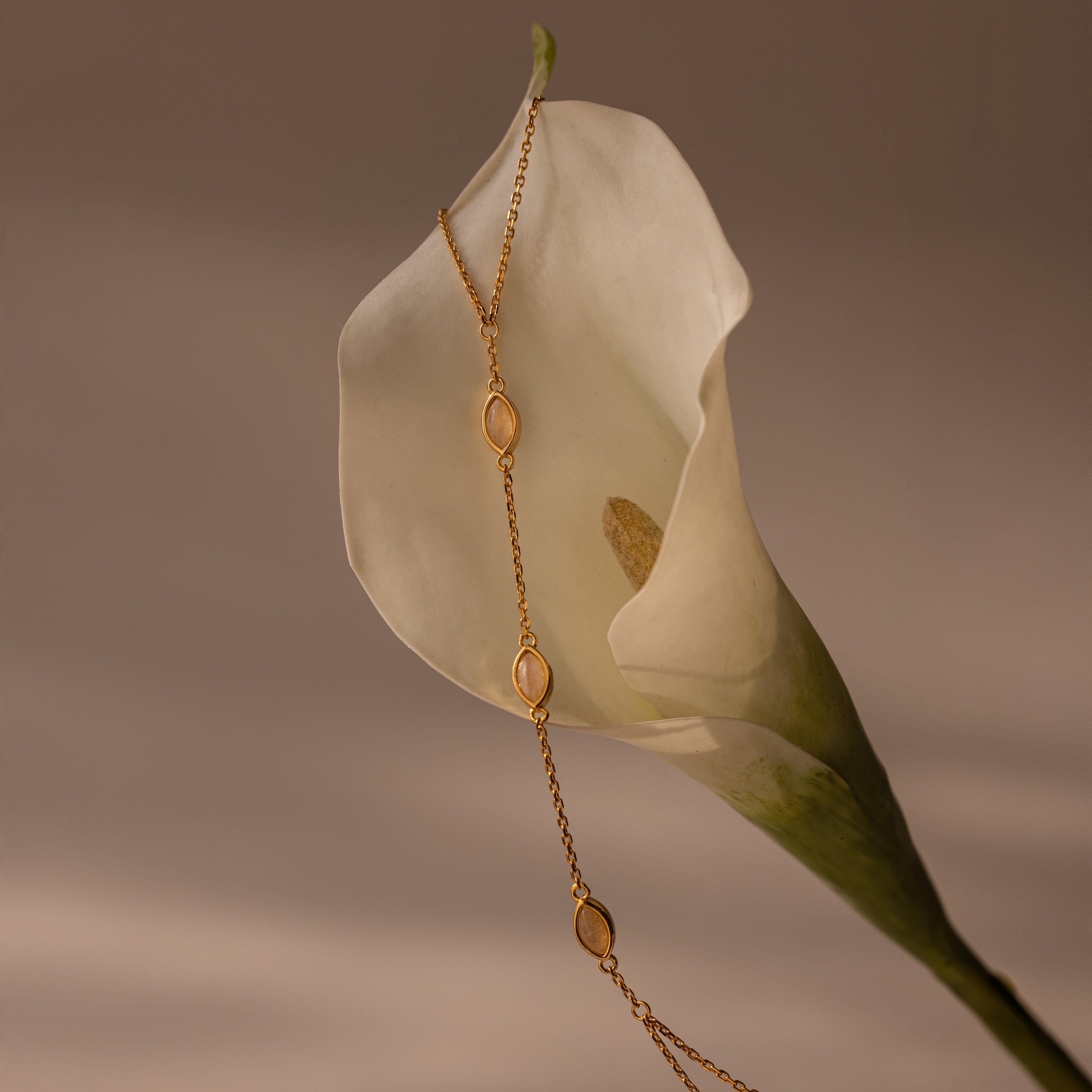 A Moonstone Hand Chain Bracelet elegantly displayed over a white calla lily on a soft, neutral background, capturing the celestial beauty of this refined jewelry piece.