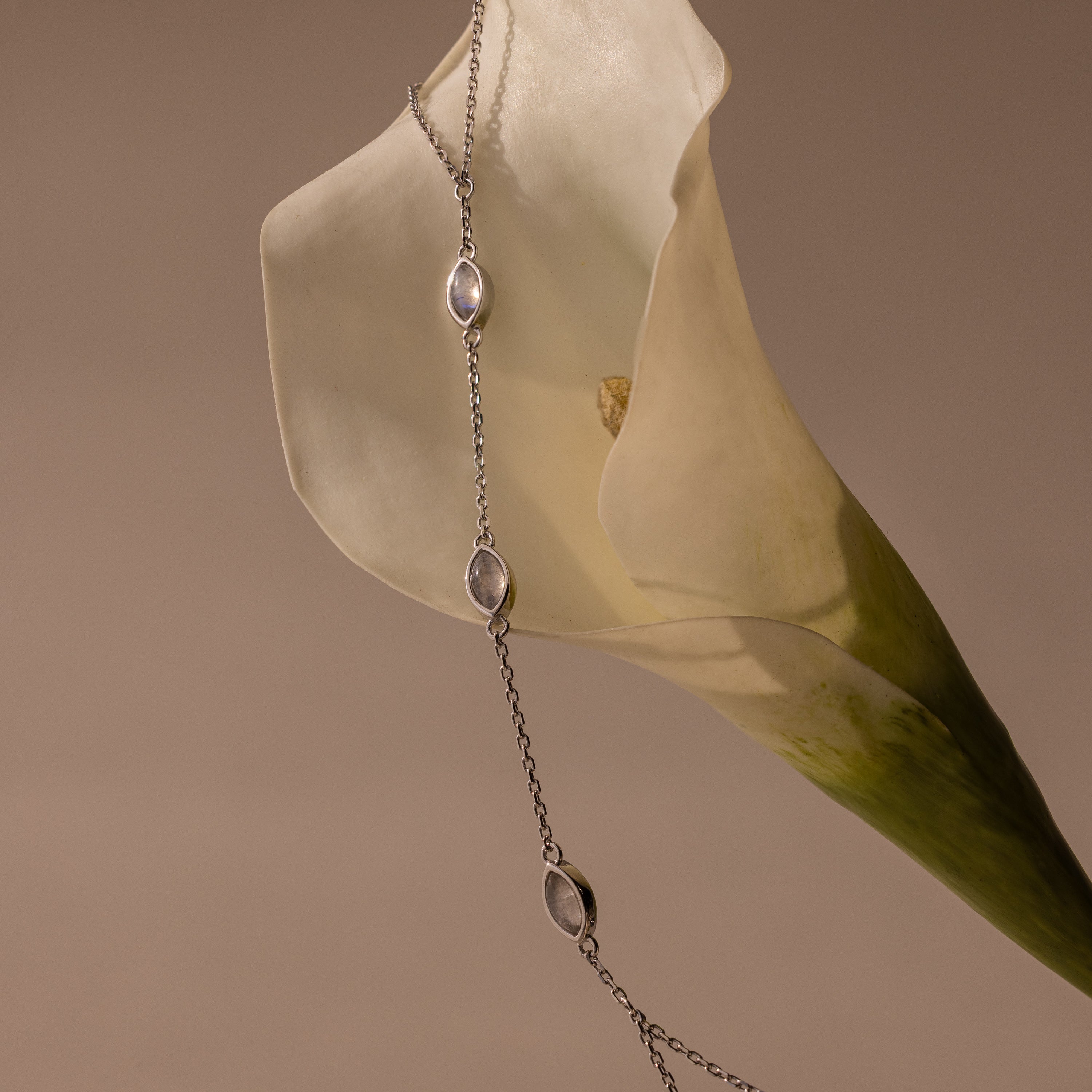 The Moonstone Hand Chain Bracelet in Silver, with its celestial charm, is gracefully displayed on a white calla lily set against a beige background.