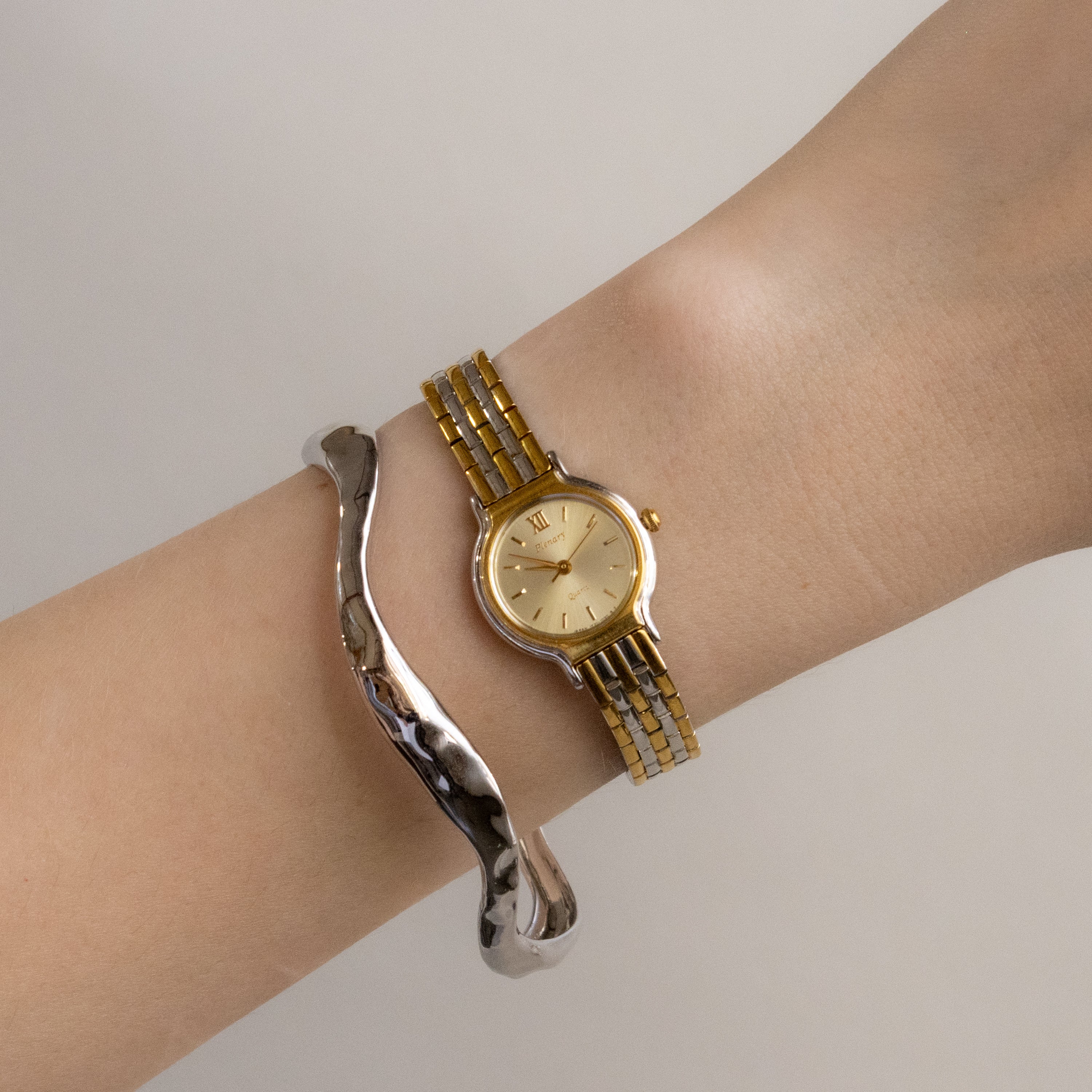 Vintage Plenary Round Two Tone Watch