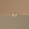 Opal Dome Inlay Huggies in Silver