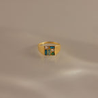 Mosaic Birthstone Signet Ring