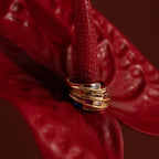 The Toi et Moi Baguette Name Ring, along with other gold rings featuring engraved names and colorful gemstones, adorns a deep red anthurium flower.