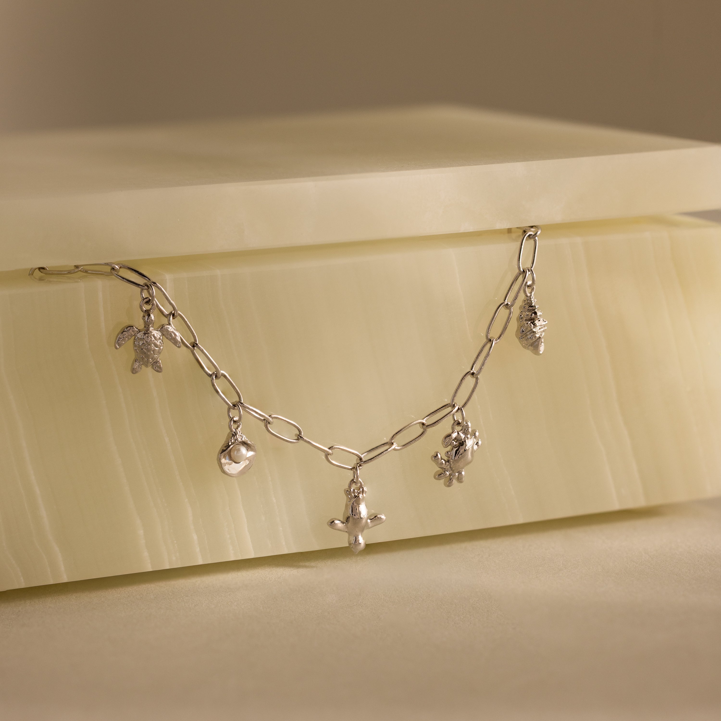 Seaside Charm Bracelet in Silver features five animal and nature charms, including ocean-inspired designs, elegantly presented on a glossy stone box.