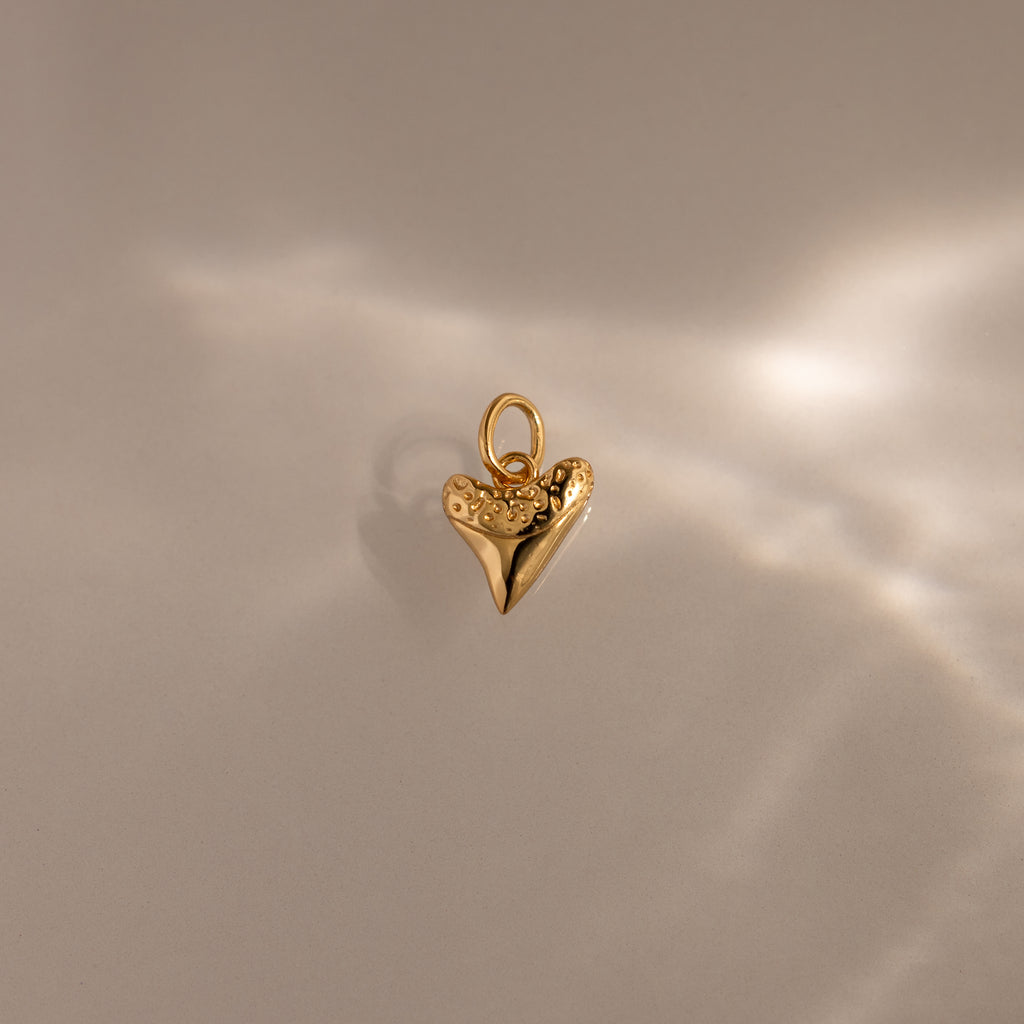 Dainty Shark Tooth Charm highlighted on a neutral, softly lit background, capturing coastal charm with delicate detailing.