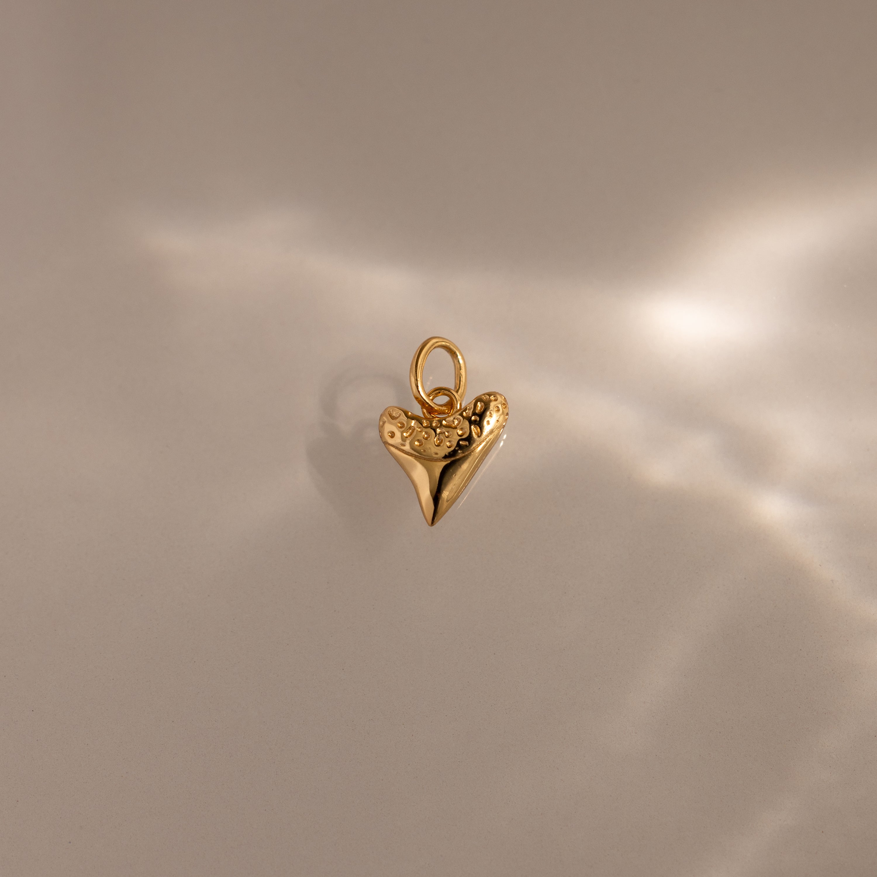 Dainty Shark Tooth Charm highlighted on a neutral, softly lit background, capturing coastal charm with delicate detailing.