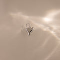 The Dainty Shark Tooth Charm in Silver shines on a neutral background with soft, diffused reflections—an elegant piece for any lover of coastal jewelry.