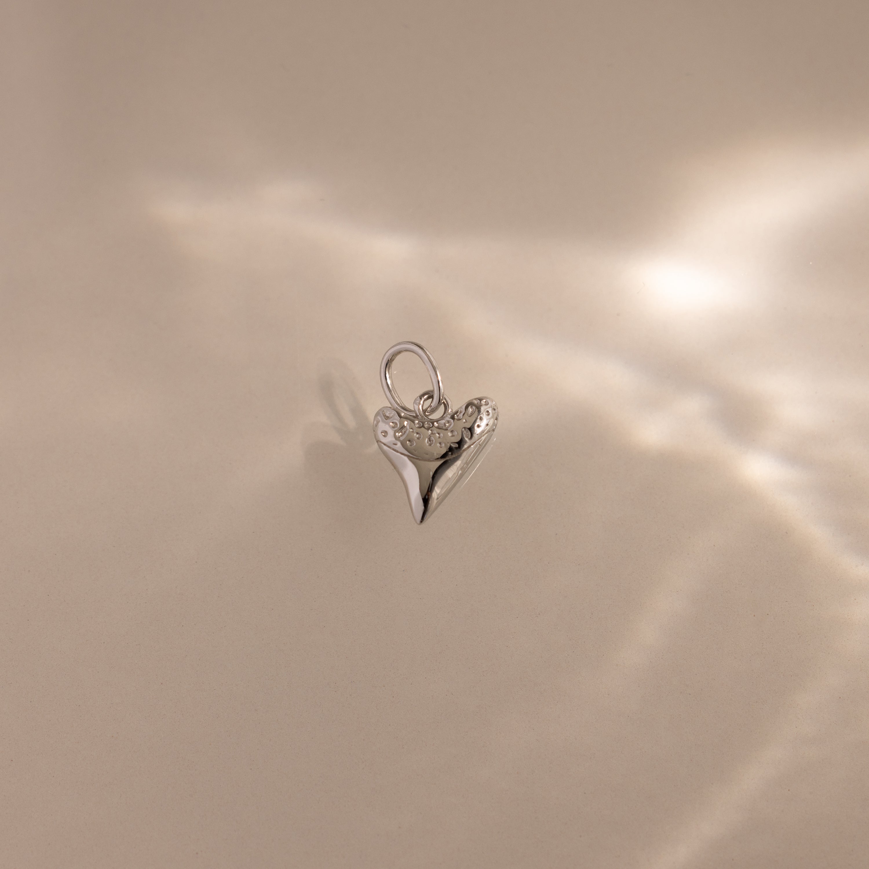 The Dainty Shark Tooth Charm in Silver shines on a neutral background with soft, diffused reflections—an elegant piece for any lover of coastal jewelry.