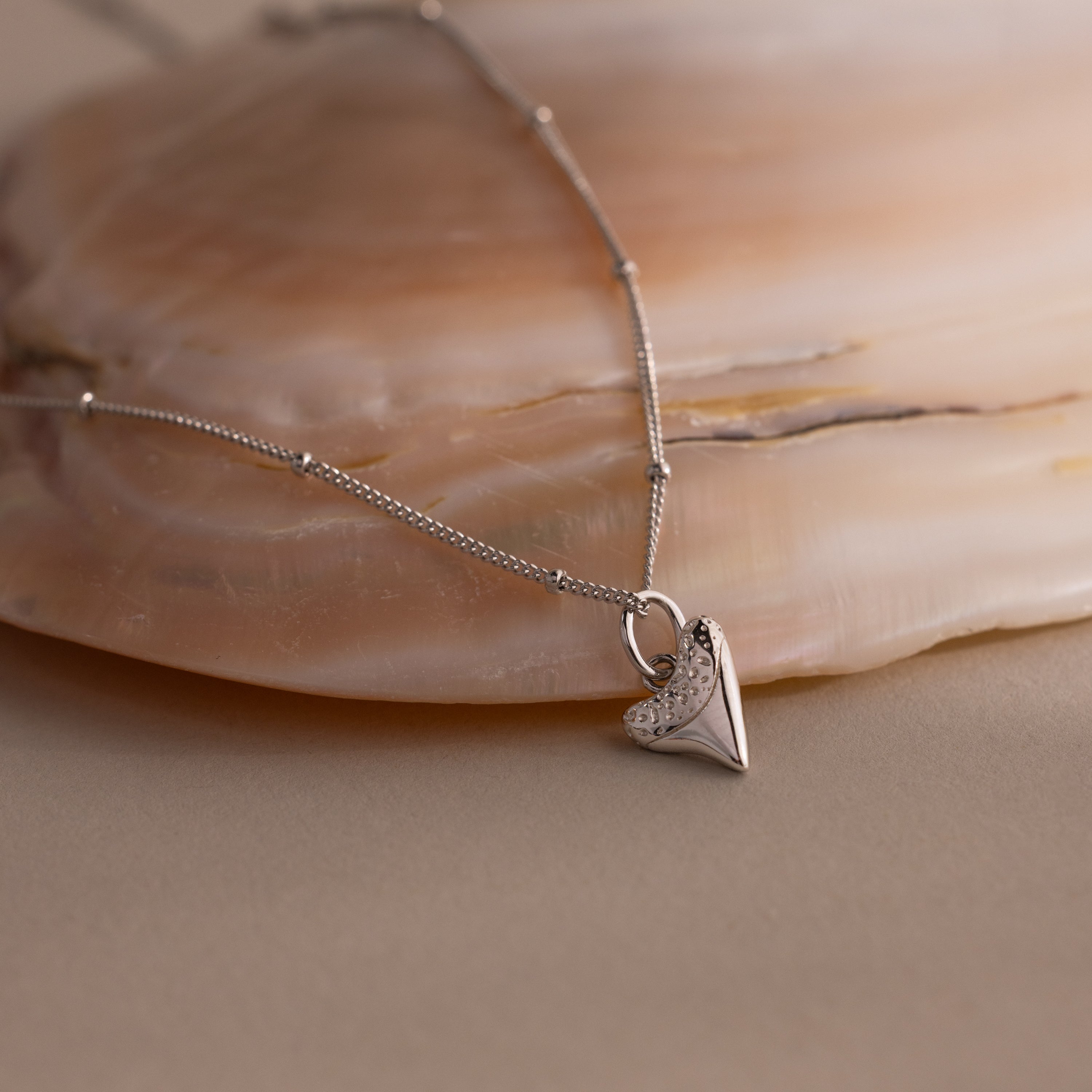 Silver shark tooth necklace displayed on a seashell background, ideal for a beachside vibe and perfect for those who love unique coastal jewelry.