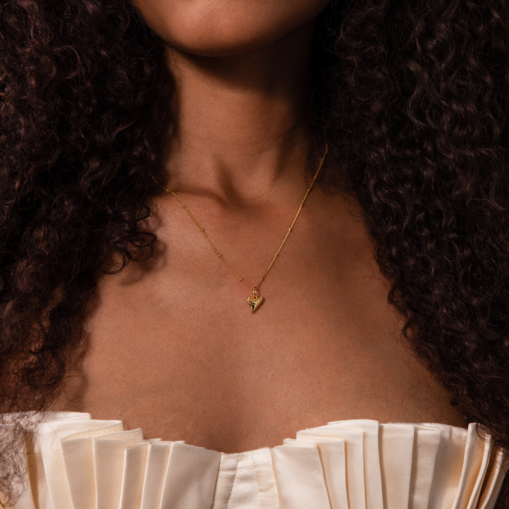 Shark Tooth Jewelry Set in 18K Gold