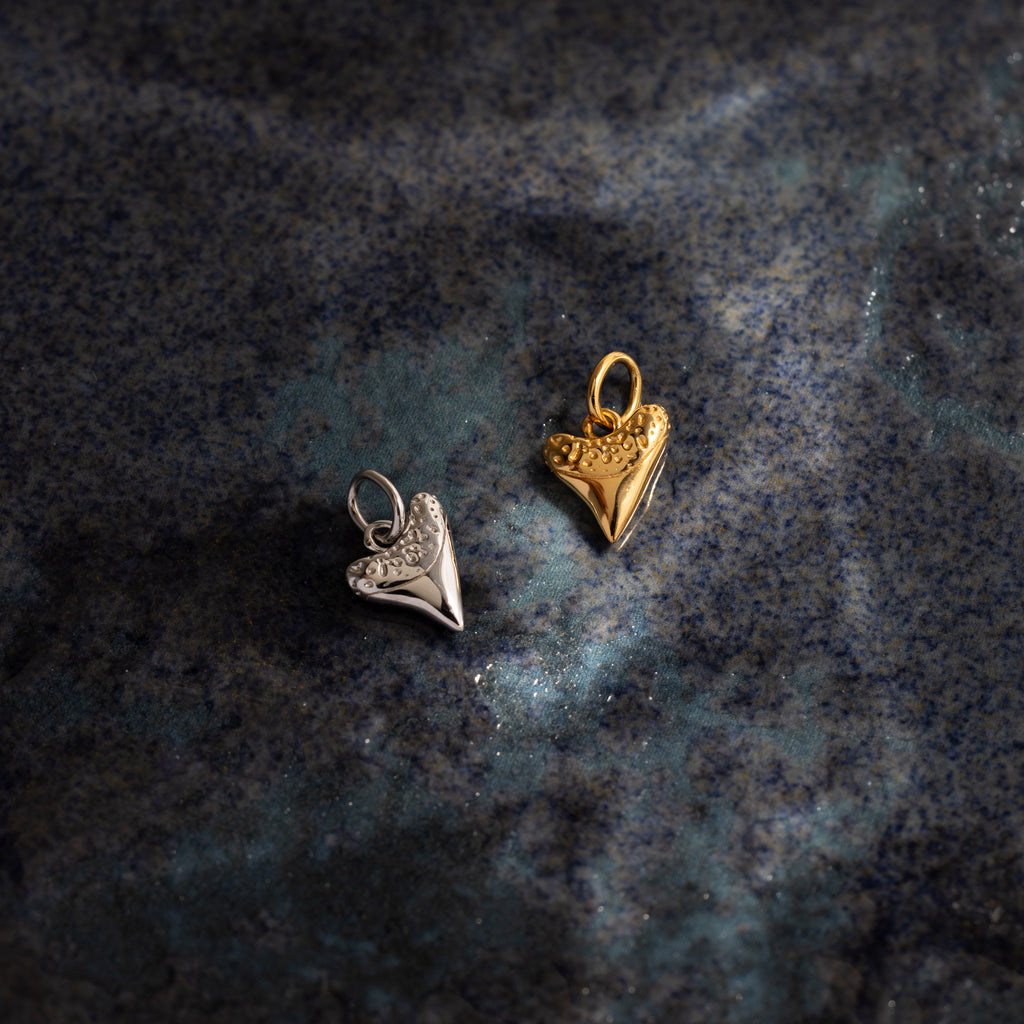 A dainty shark tooth charm in silver rests on a dark, textured surface—a unique piece from our Silver Coastal Jewelry collection.