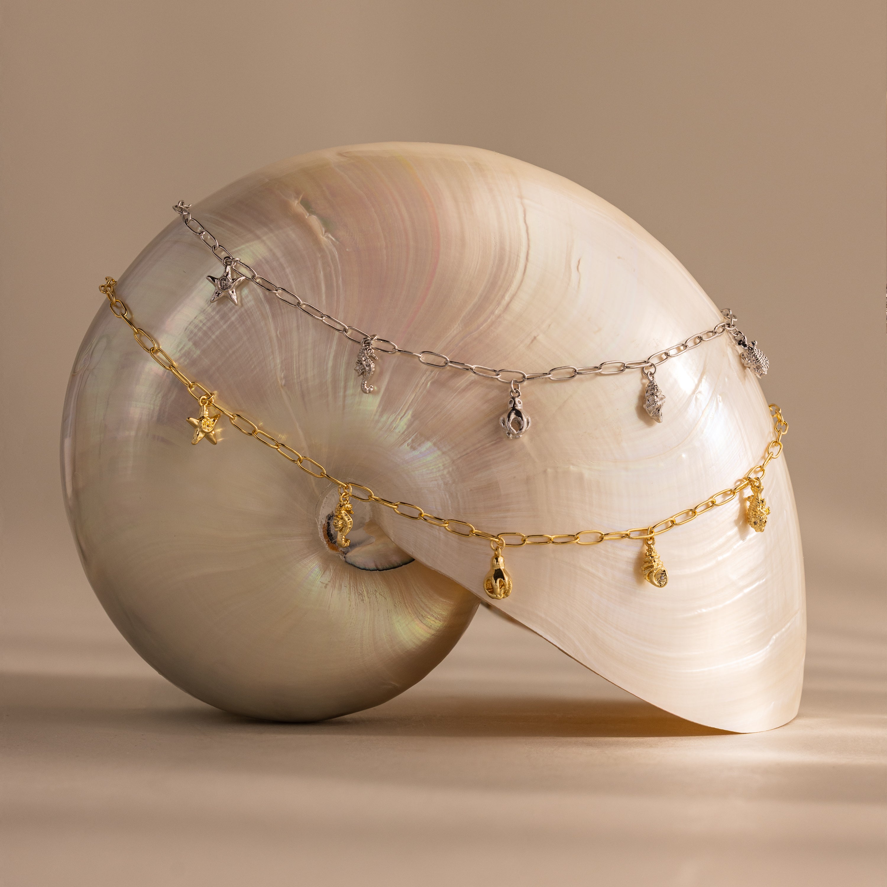 The Ocean Charm Necklace in Silver is displayed draped over a large iridescent seashell against a neutral background.
