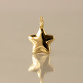 Golden Star Locket