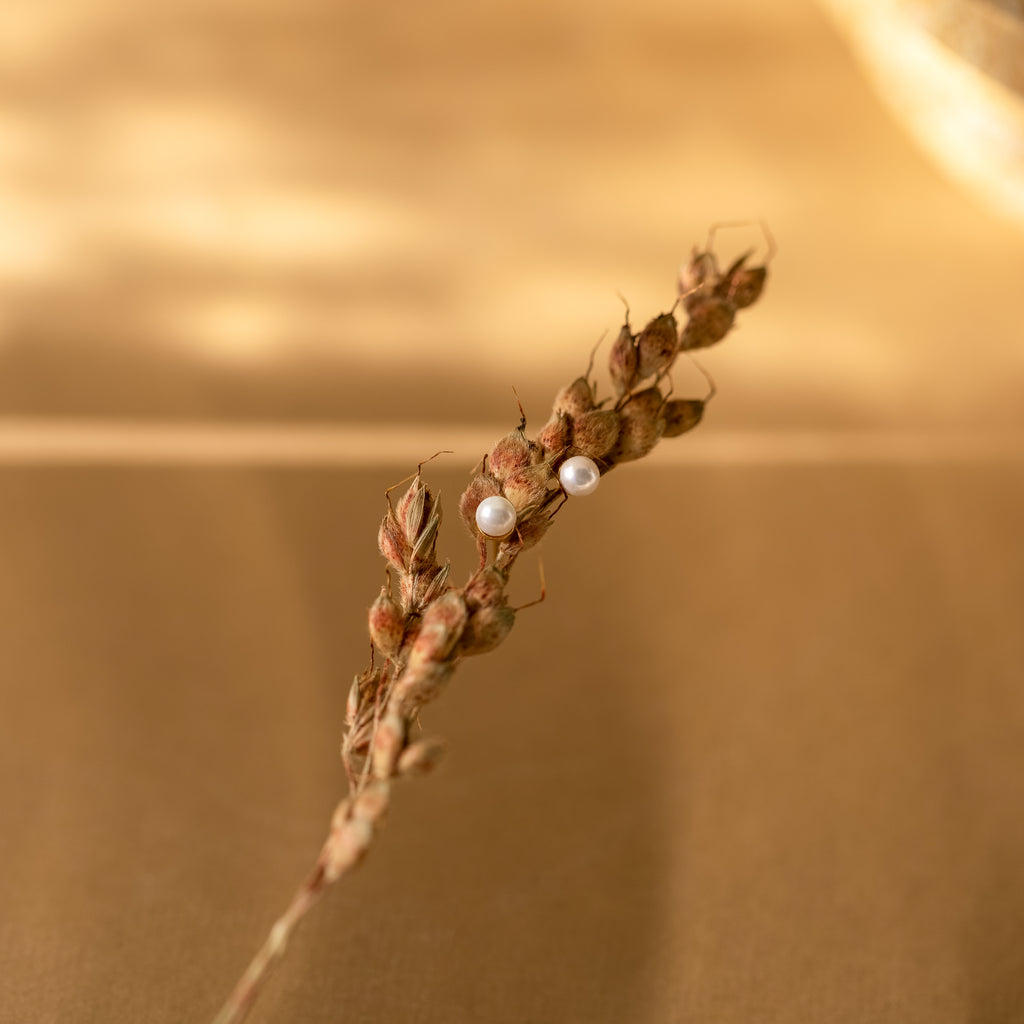 Dainty Pearl Studs in Sterling Silver evoke subtle elegance, resembling a dry grass stem with two small pearls, set against a soft beige background.