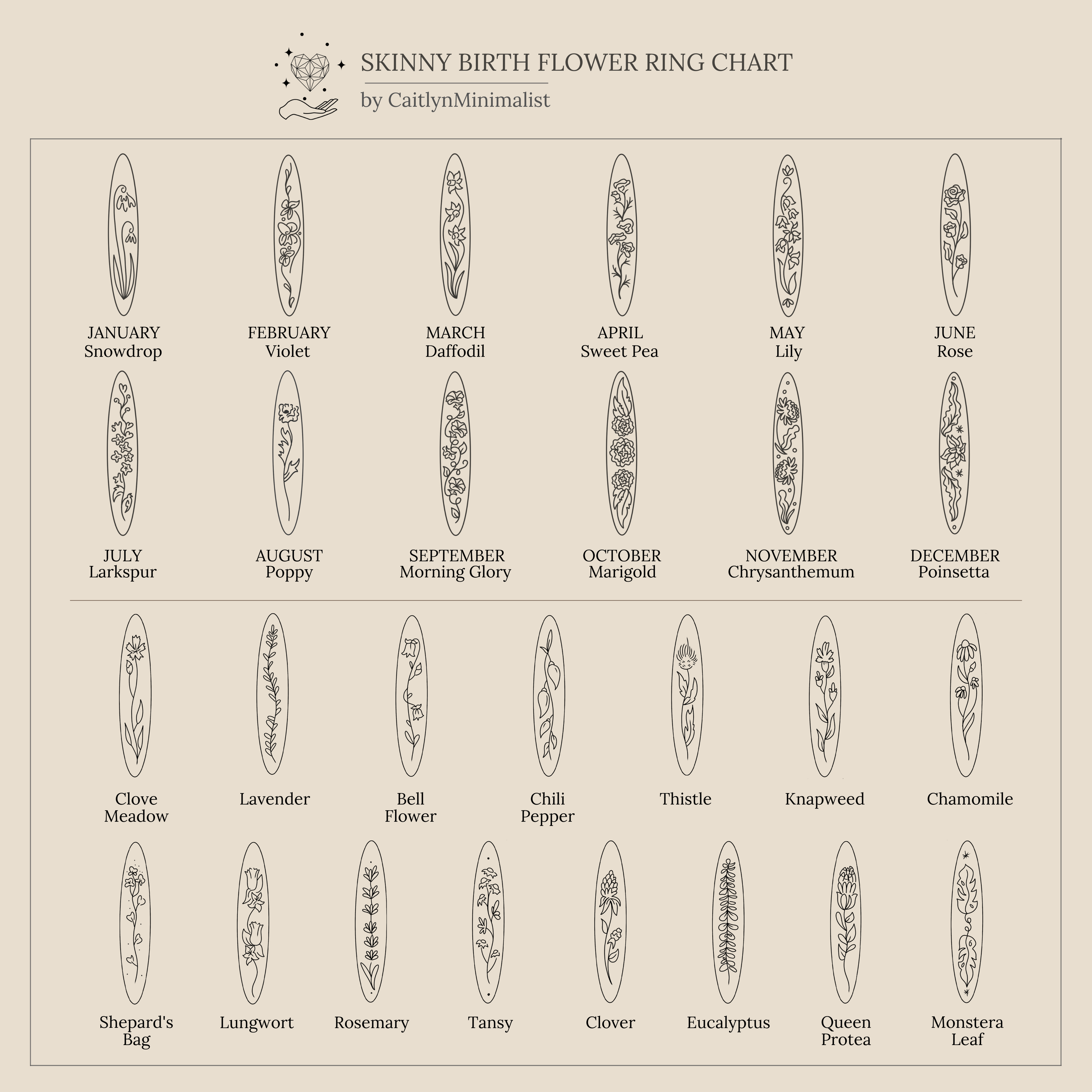 A chart of Thin Flower Signet Rings, each month labeled with its matching birth flower illustration.