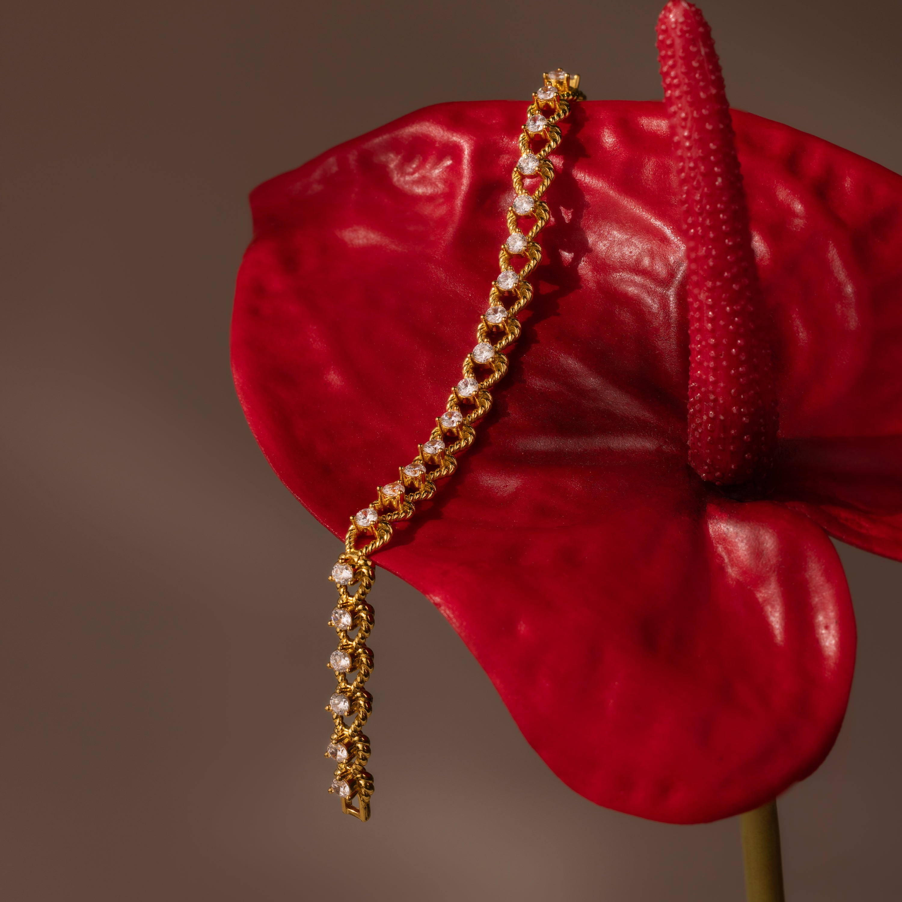 The Diamond Heart Rope Bracelet elegantly drapes over a vibrant red anthurium flower, creating a striking contrast against the brown background.