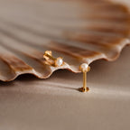 The Baby Venus Flatback Studs—small gold and pearl earrings with a floral backing—are displayed on a beige scallop shell, highlighting the elegant design against a neutral background.