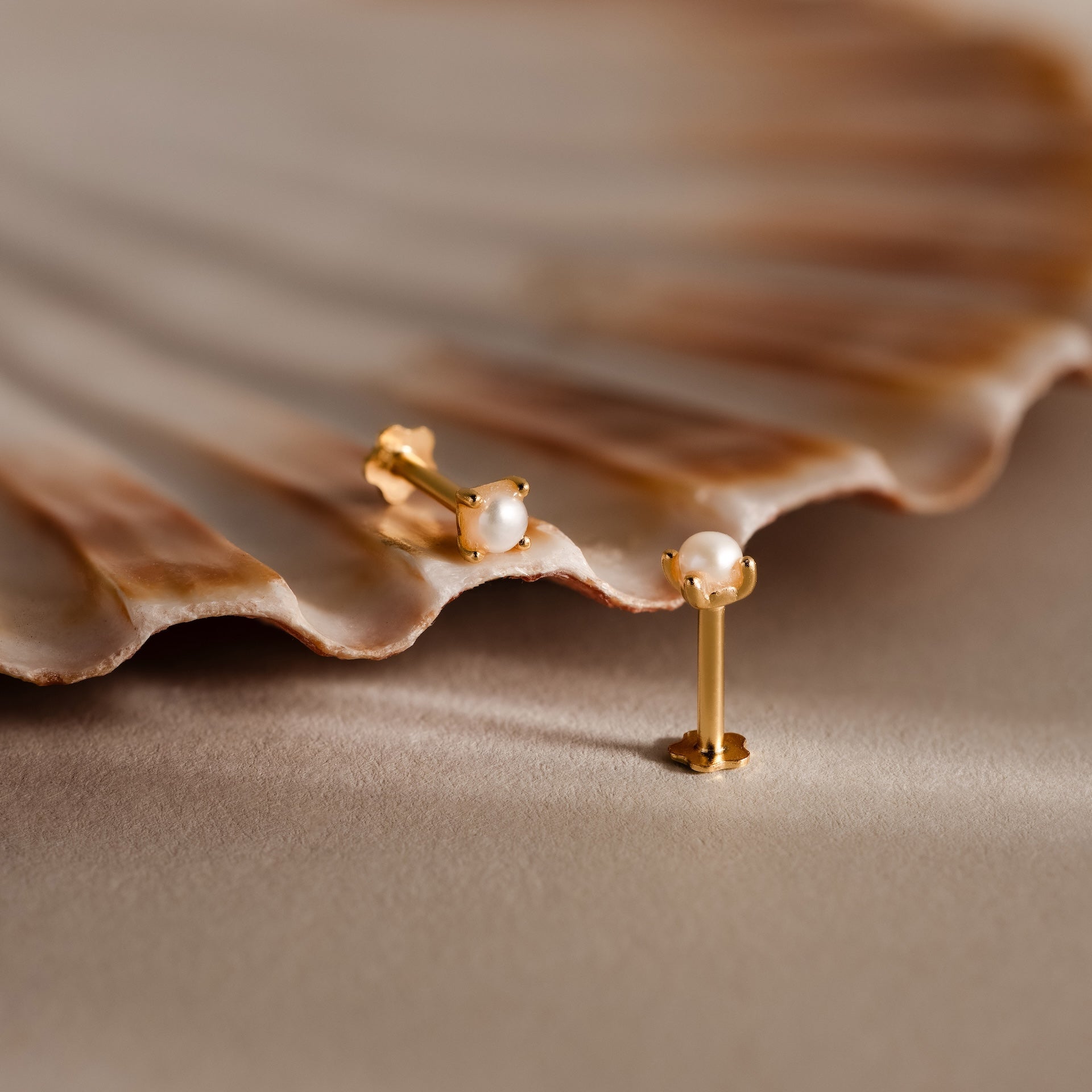 The Baby Venus Flatback Studs—small gold and pearl earrings with a floral backing—are displayed on a beige scallop shell, highlighting the elegant design against a neutral background.