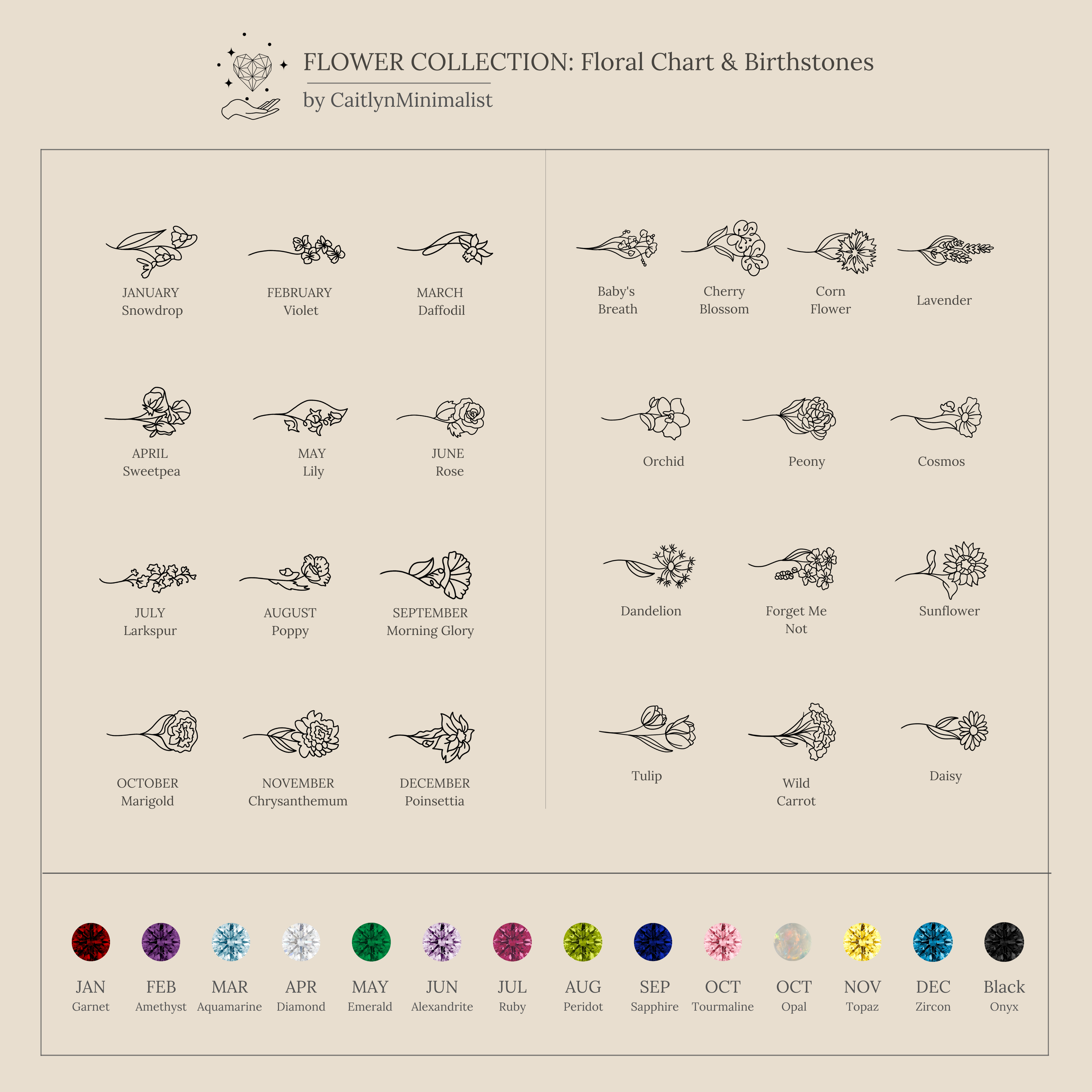 A minimalist birth flower and gemstone chart for each month—perfect as inspiration for a Custom Flower Bracelet or a unique, personalized graduation gift.