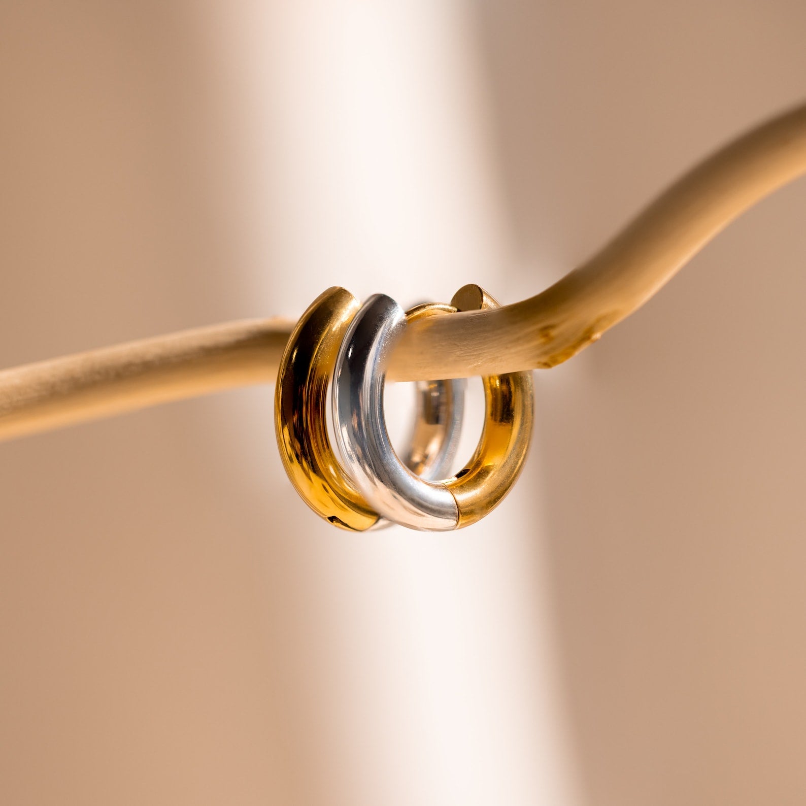 Chunky Hoops, one gold and one silver, hang elegantly on a thin beige branch against a soft, neutral background.