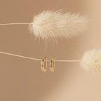 Editor Huggies in Rose Gold hang on a string between two fluffy dried plants against a beige background, highlighting their minimal aesthetic.