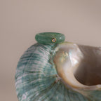 The Jade Diamond Ring features a small diamond in a gold bezel, displayed on a green and white seashell against a neutral background.
