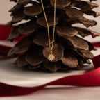 Flatlay of our Diamond Poinsetta Pendant Necklace on a pine cone with a red ribbon