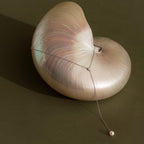 The Pearl Drop Lariat Necklace features a delicate vertical chain and a pearl pendant, elegantly draped over a shiny nautilus shell on an olive background, showcasing the refined style of this jewelry piece.