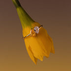 The Duo Pear Toi Et Moi Ring in 18K Gold, featuring two pear-shaped stones, rests on the yellow petals of a daffodil flower.