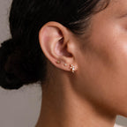 Ombre Cluster Diamond Studs