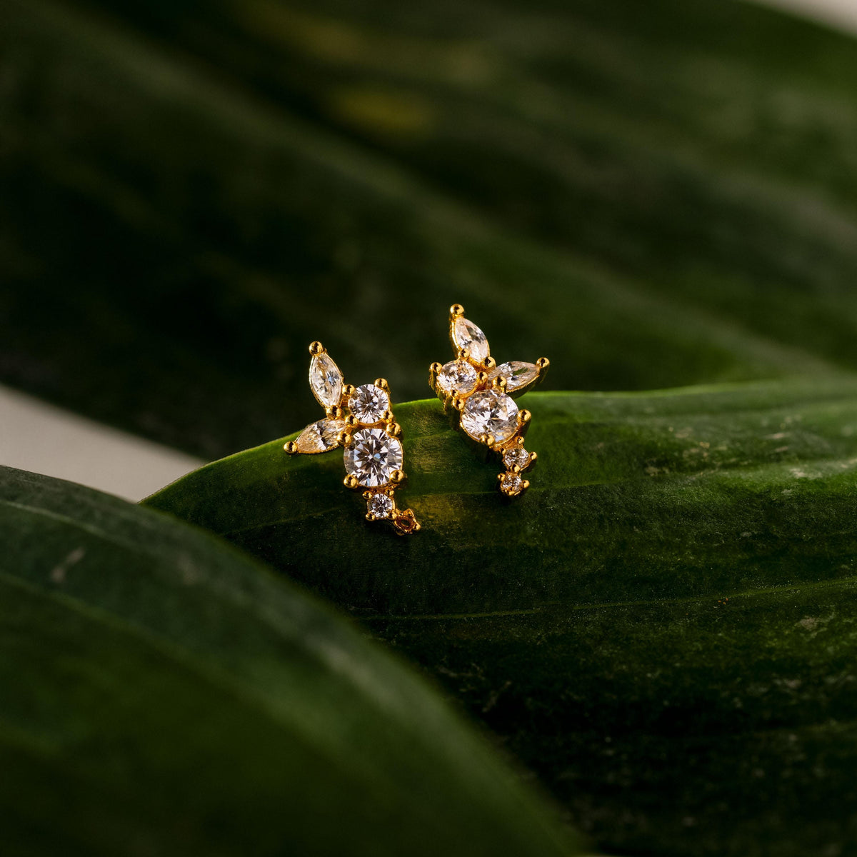 Ombre Cluster Diamond Studs