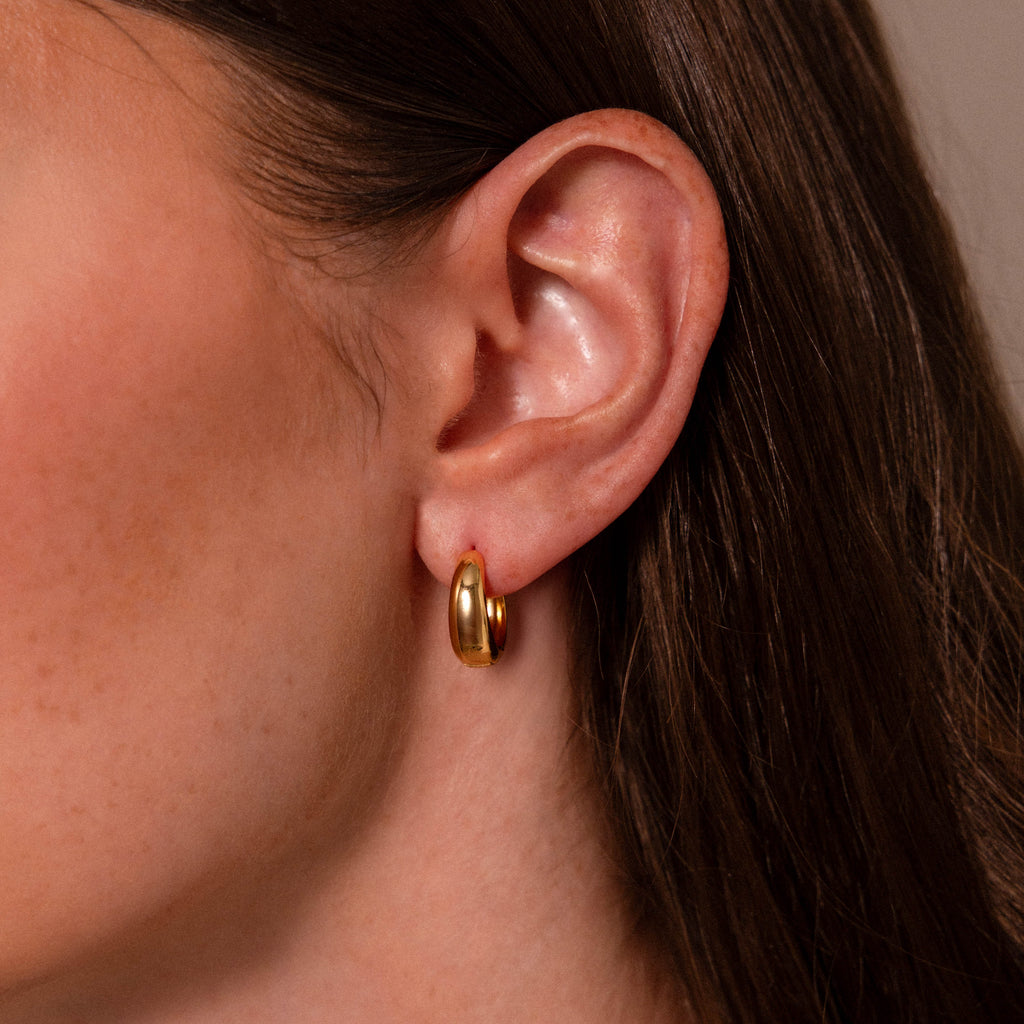 Bold Sculpted Hoops