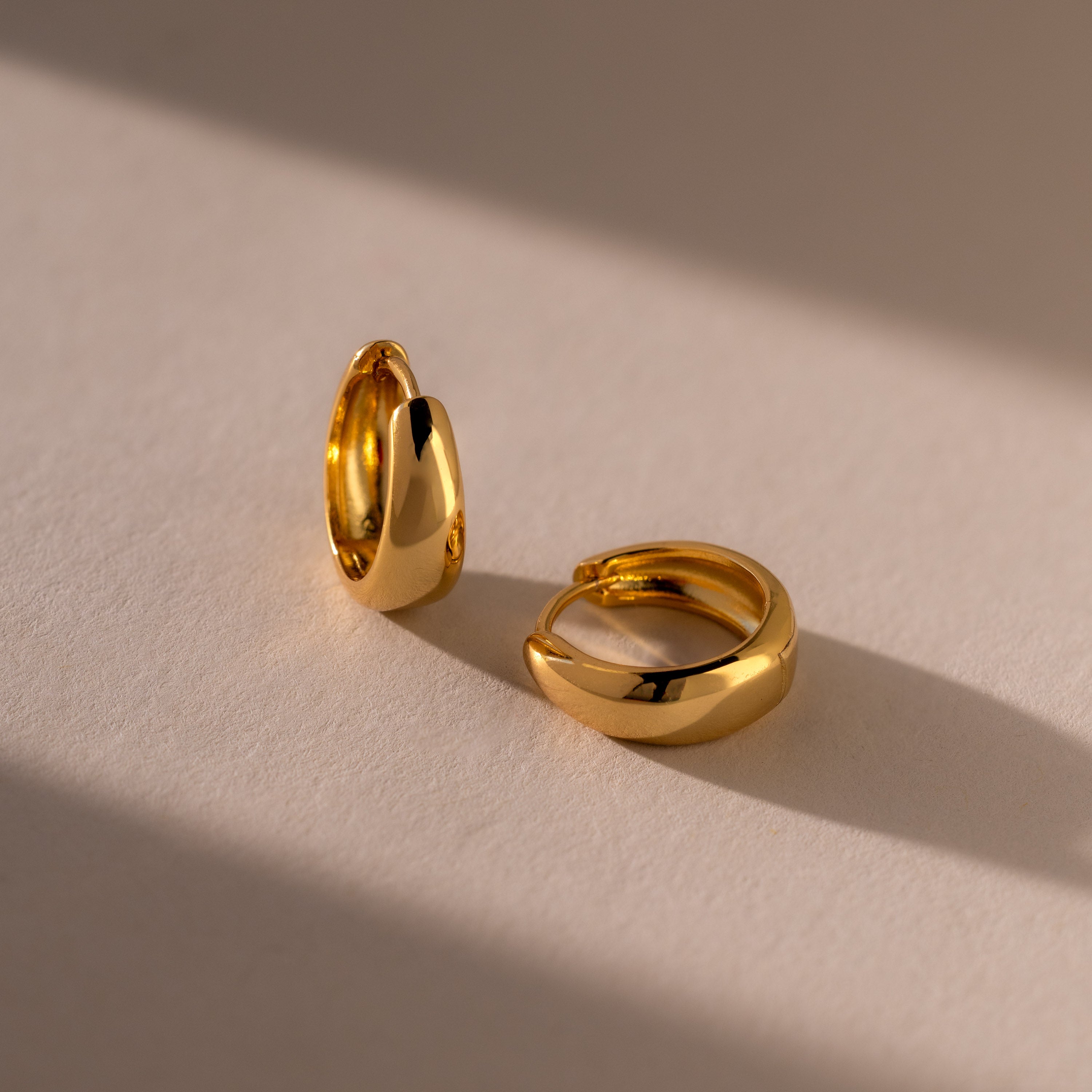 Bold Sculpted Hoops
