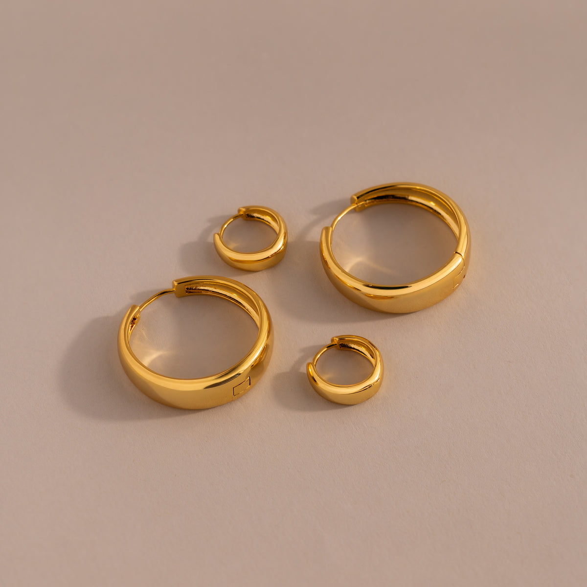 Bold Sculpted Hoops