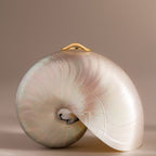 Wave Contour Ring