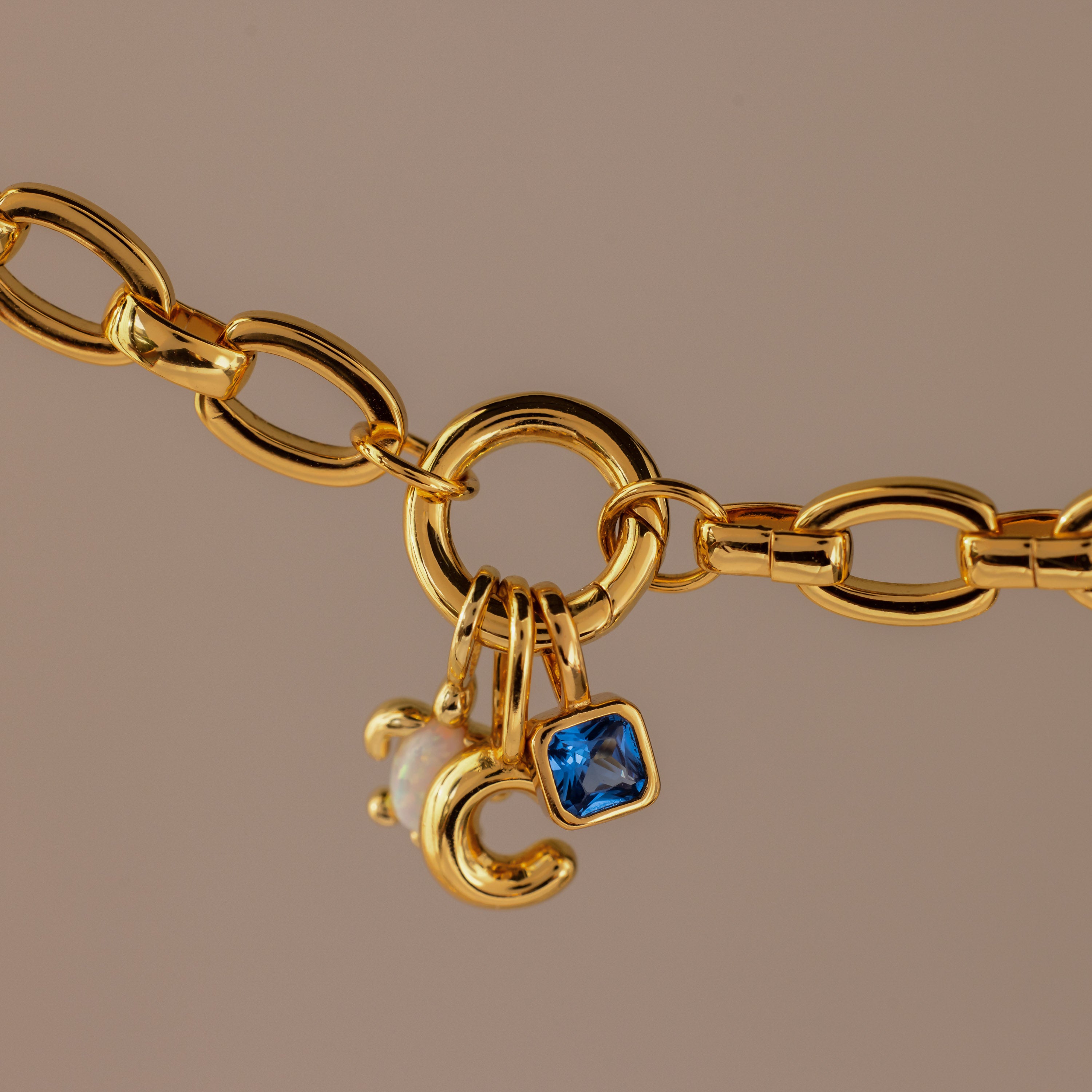 Oval Link Charm Necklace in 18K Gold