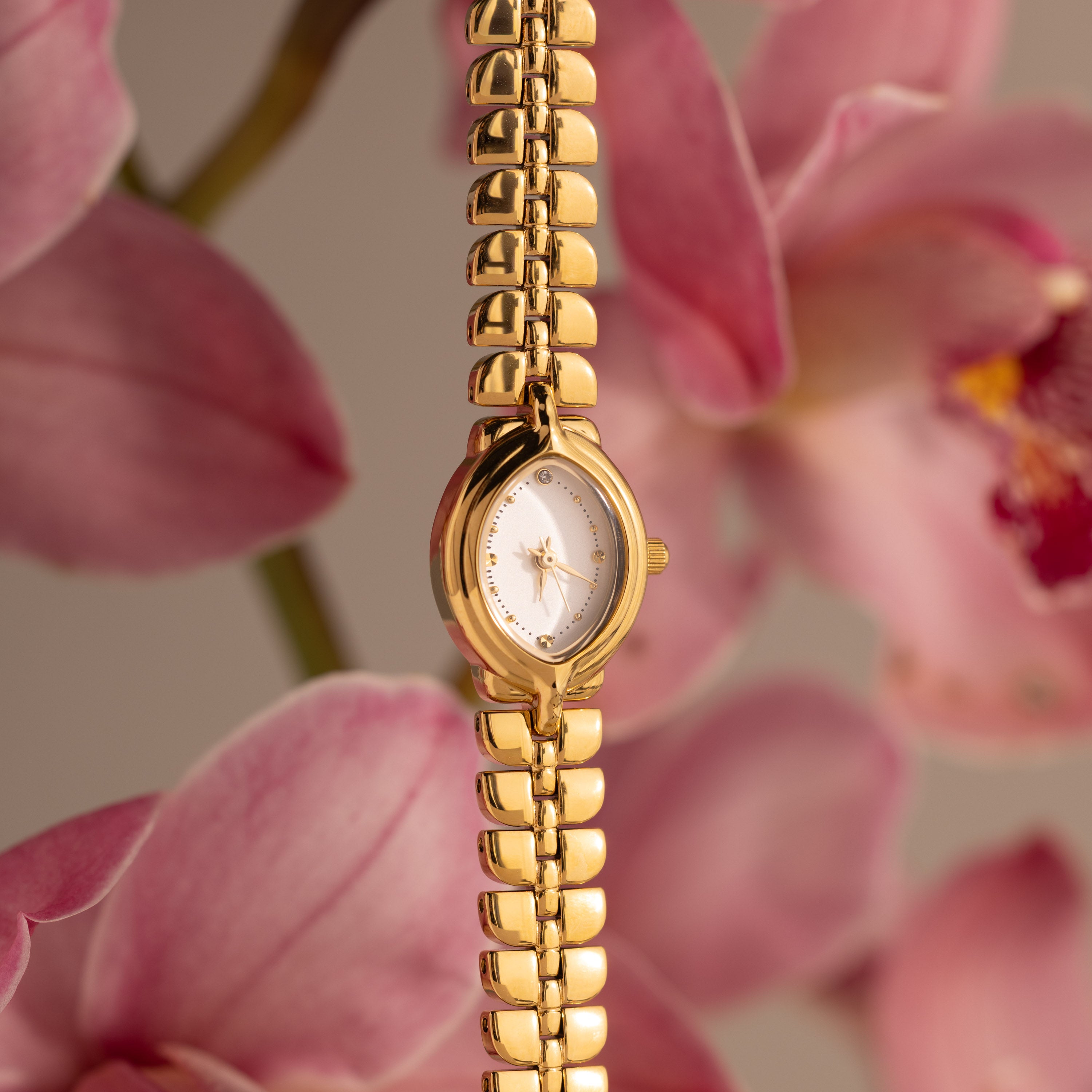 Flow Oval Link Timepiece
