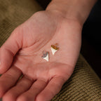 White Shark Tooth Charm