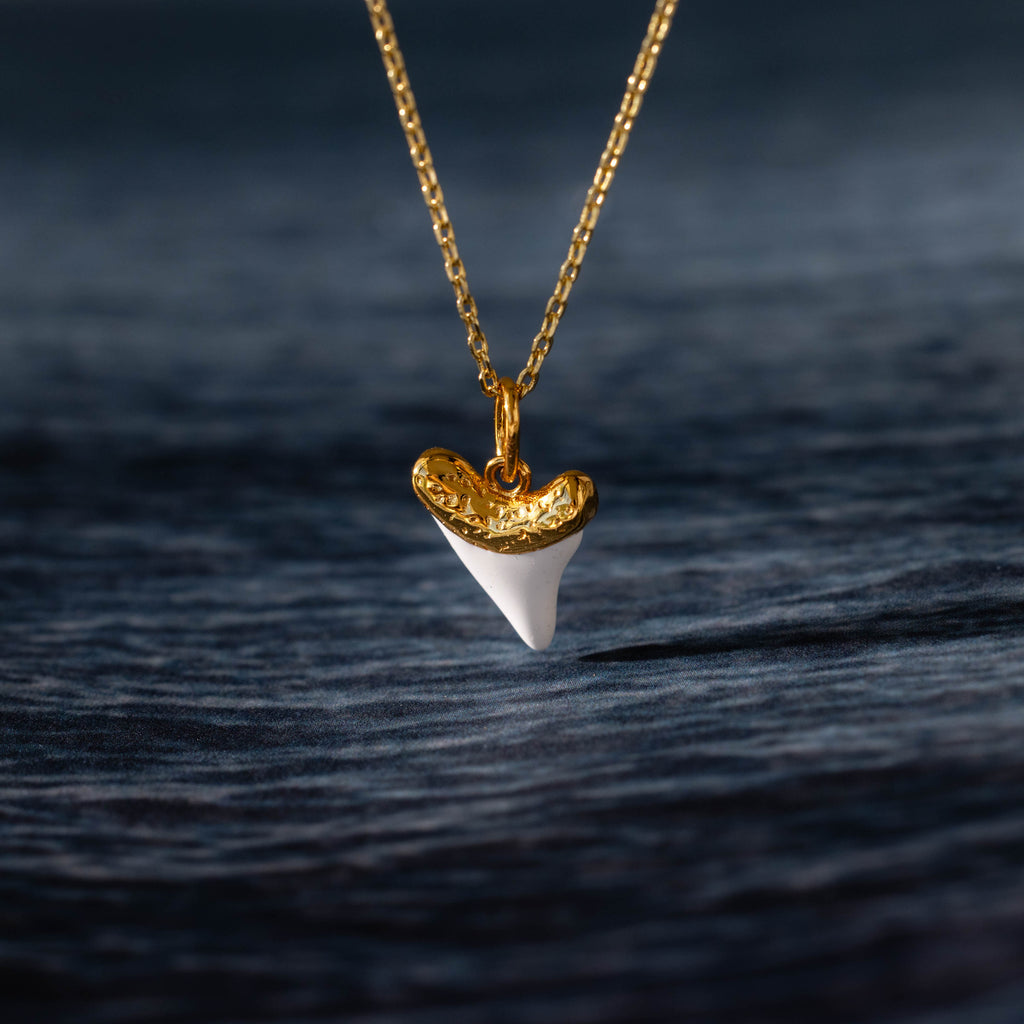 White Shark Tooth Charm in 18K Gold