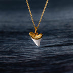 White Shark Tooth Charm