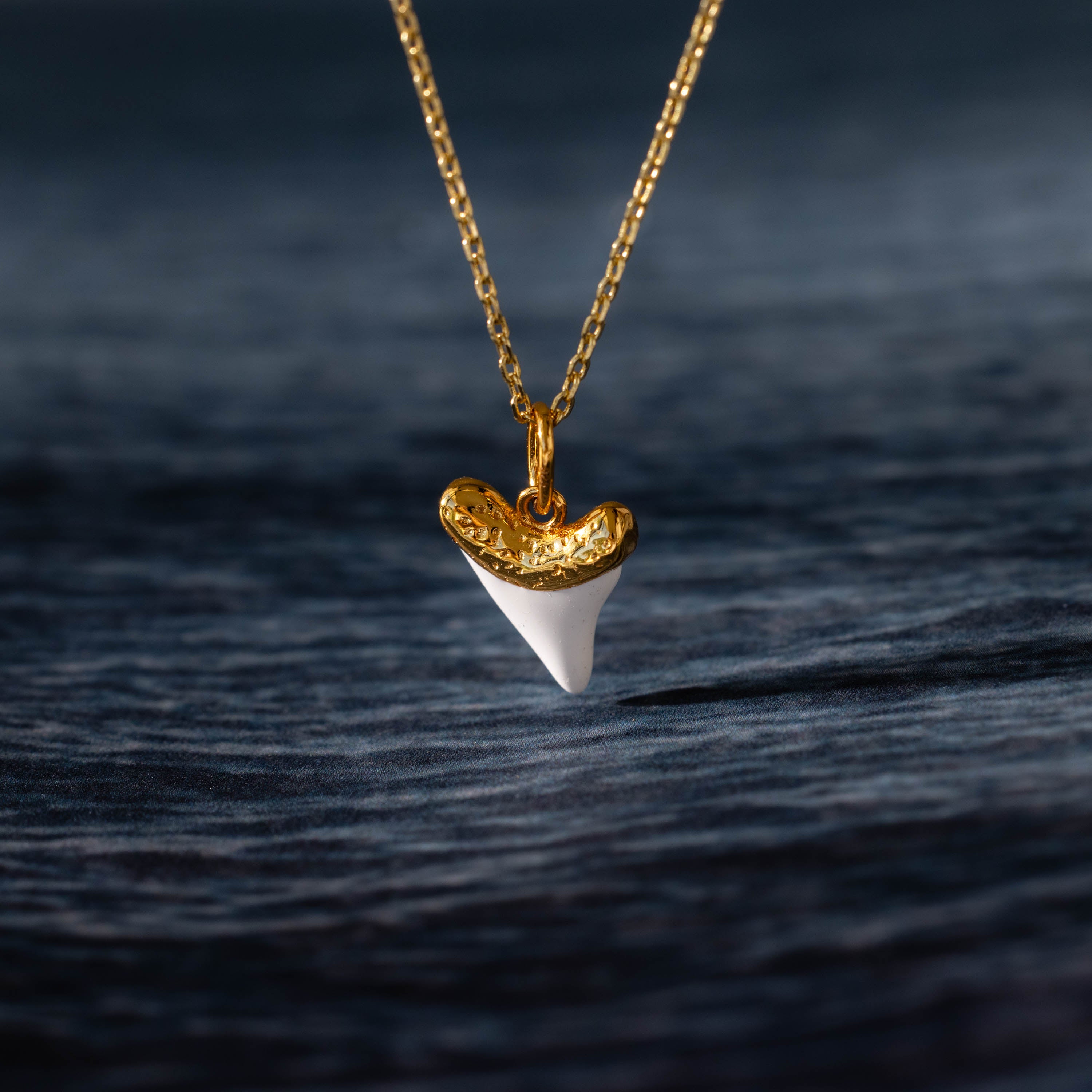 White Shark Tooth Charm