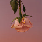 The Ribbed Birthstone Pendant Necklace with a pink stone pendant hangs from a pink rose stem against a soft pink background, adding a touch of vintage-inspired charm.