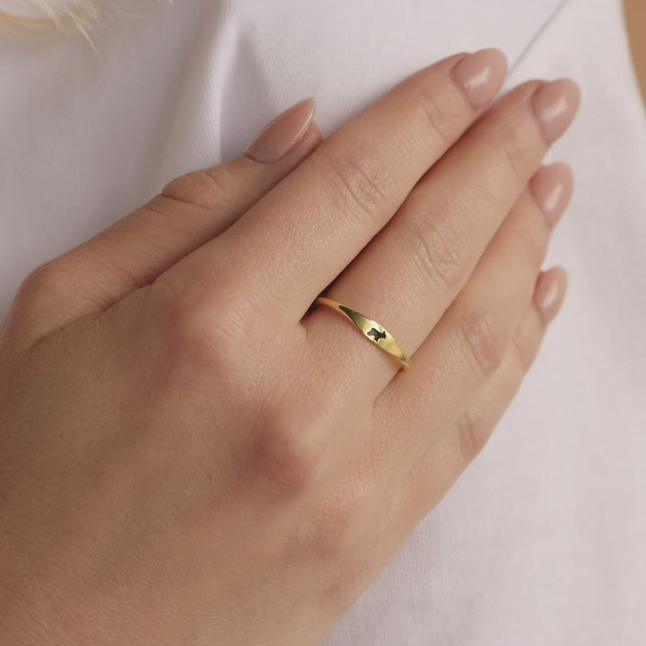 Anillo flaco para mascotas