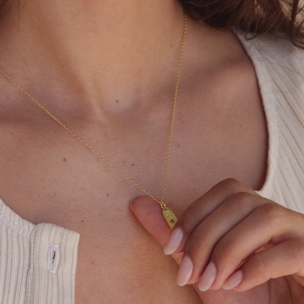 Collar con etiqueta ovalada Newsletter