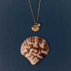 Diamond Seashell Charm Necklace featuring a sparkling gem and delicate shell pendant, displayed above a brown-and-white seashell on a blue background—perfect coastal-inspired jewelry.